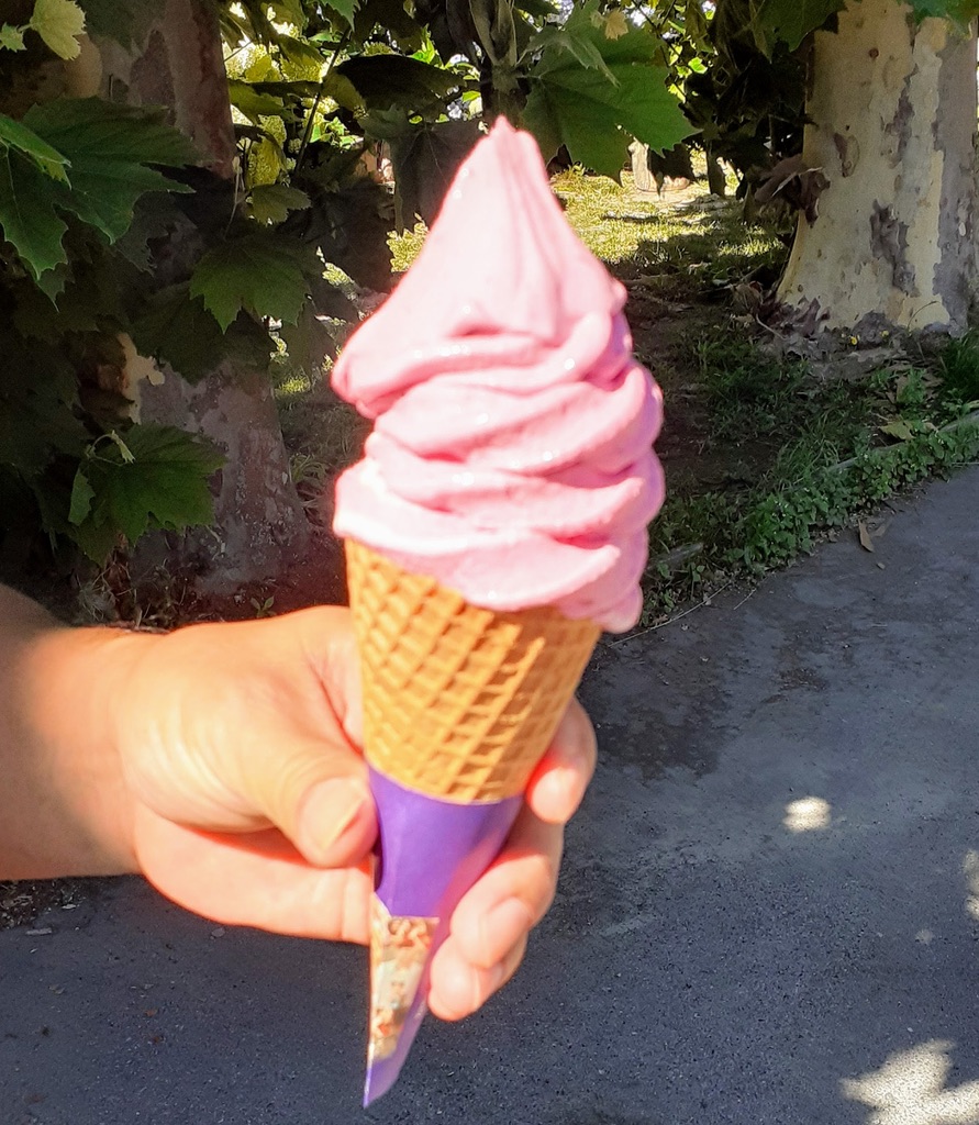 コーン ニュージーランドホットセール電気冷凍フルーツアイスクリームブレンダーリアルフルーツスワールアイスクリームミキサー アプリケー